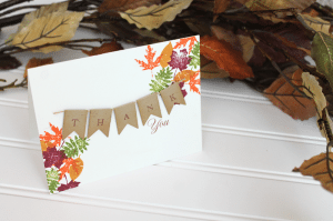 Clear and Simple Stamps The Basics Fall Frenzy