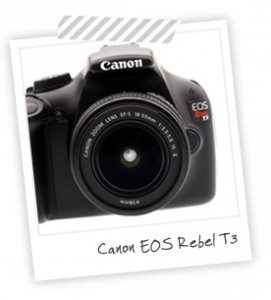 Equipment I Use: Canon Rebel T3 | Damask Love Blog