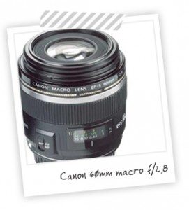 Equipment I Use: Canon 60mm Macro | Damask Love Blog