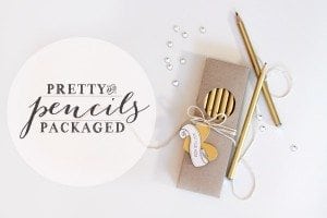 Metallic-Pencils-Gift-Beauty-Shot