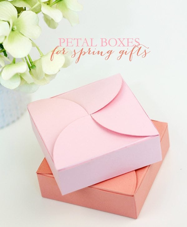 Easy DIY Petal Boxes | Damask Love