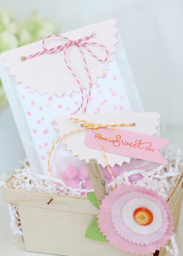 Pinked Circle Die Gift Set | Damask Love