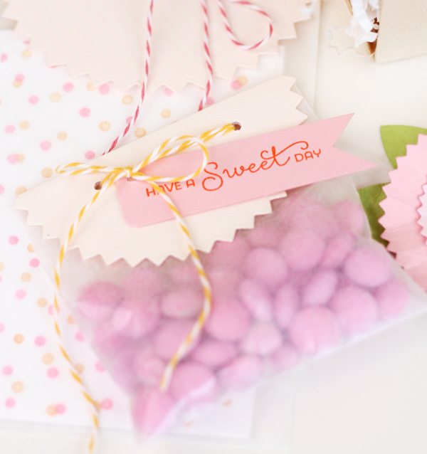 Pinked Circle Die Gift Set | Damask Love