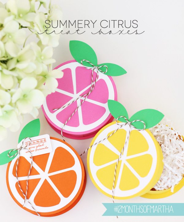 Summer Citrus Treat Boxes | Damask Love 