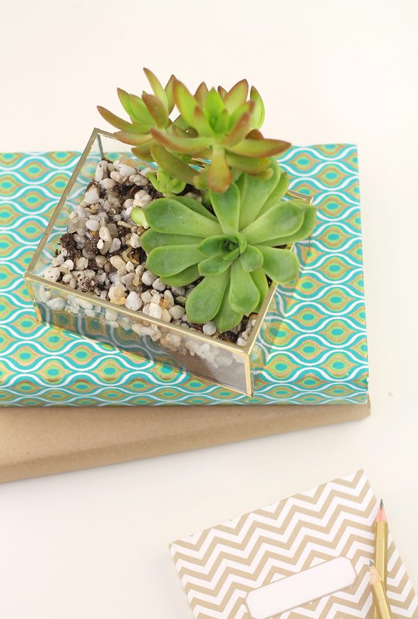 DIY Acrylic and Gold Succulent Planter | Damask Love