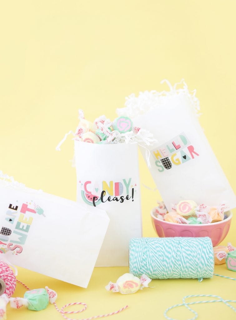 Print Your Own Treat Bags - Damask Love