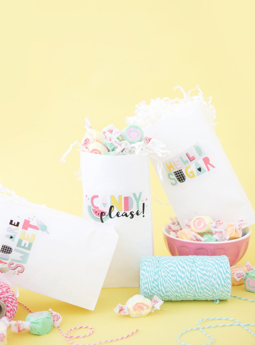 21 Cheap DIY Party Favor Bags Your Guests Will Love - Craftsonfire