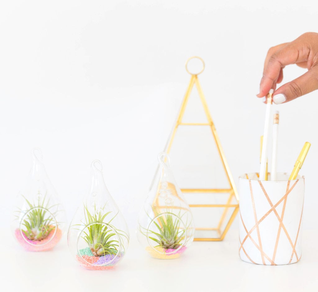 Sand Art Terrarium DIY plus How to Care for Air Plants 