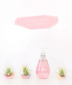 remember when you made colored sand as a kid? well, I'm giving it an adult makeover with these @methodhome and their #fearnomess campaign to make DIY Colored Sand Air Plants