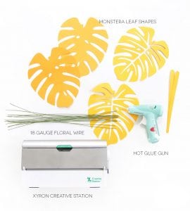 Autumn leaves are coming but I'm still holding on to summer. Combine both seasons with these DIY Paper Monstera Leaves made with a Cricut Explore