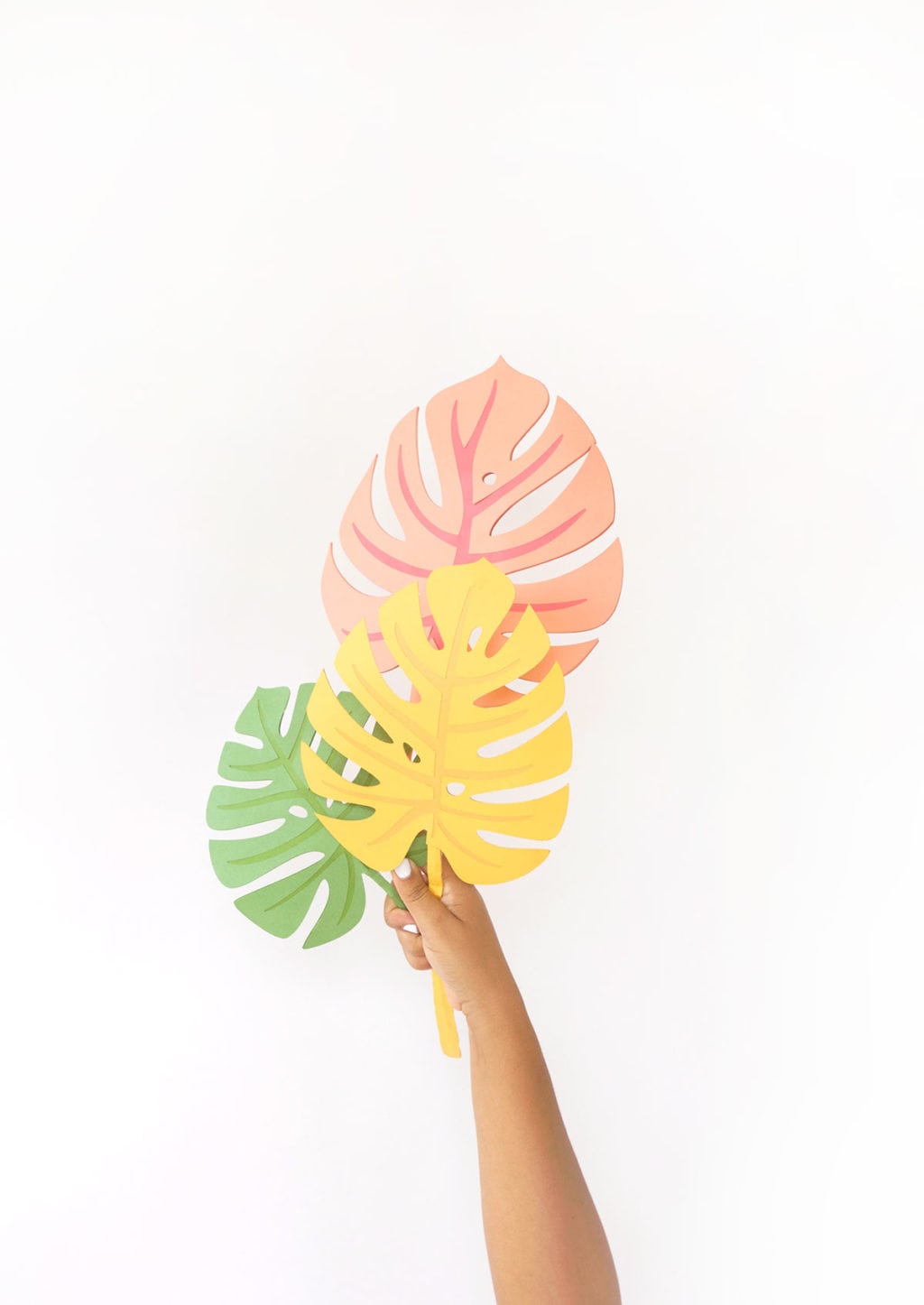 Autumn leaves are coming but I'm still holding on to summer. Combine both seasons with these DIY Paper Monstera Leaves made with a Cricut Explore