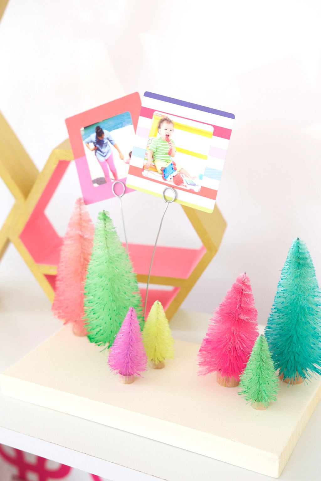 DIY Bottle Brush Tree Photo Display | damask love