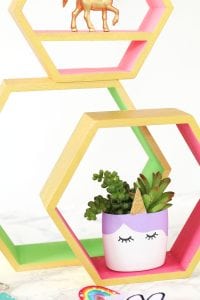 DIY Upcycled Unicorn Planter | damask love