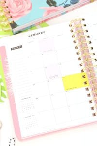 SHOP BAN.DO Planner Review | damask love