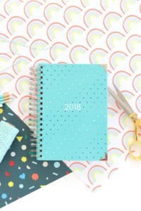 Ashley Shelly Planner Review | damask love