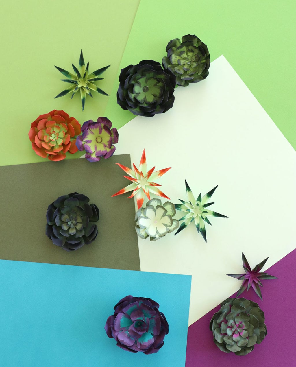 How to Make Realistic Paper Succulents with Cricut | damask love