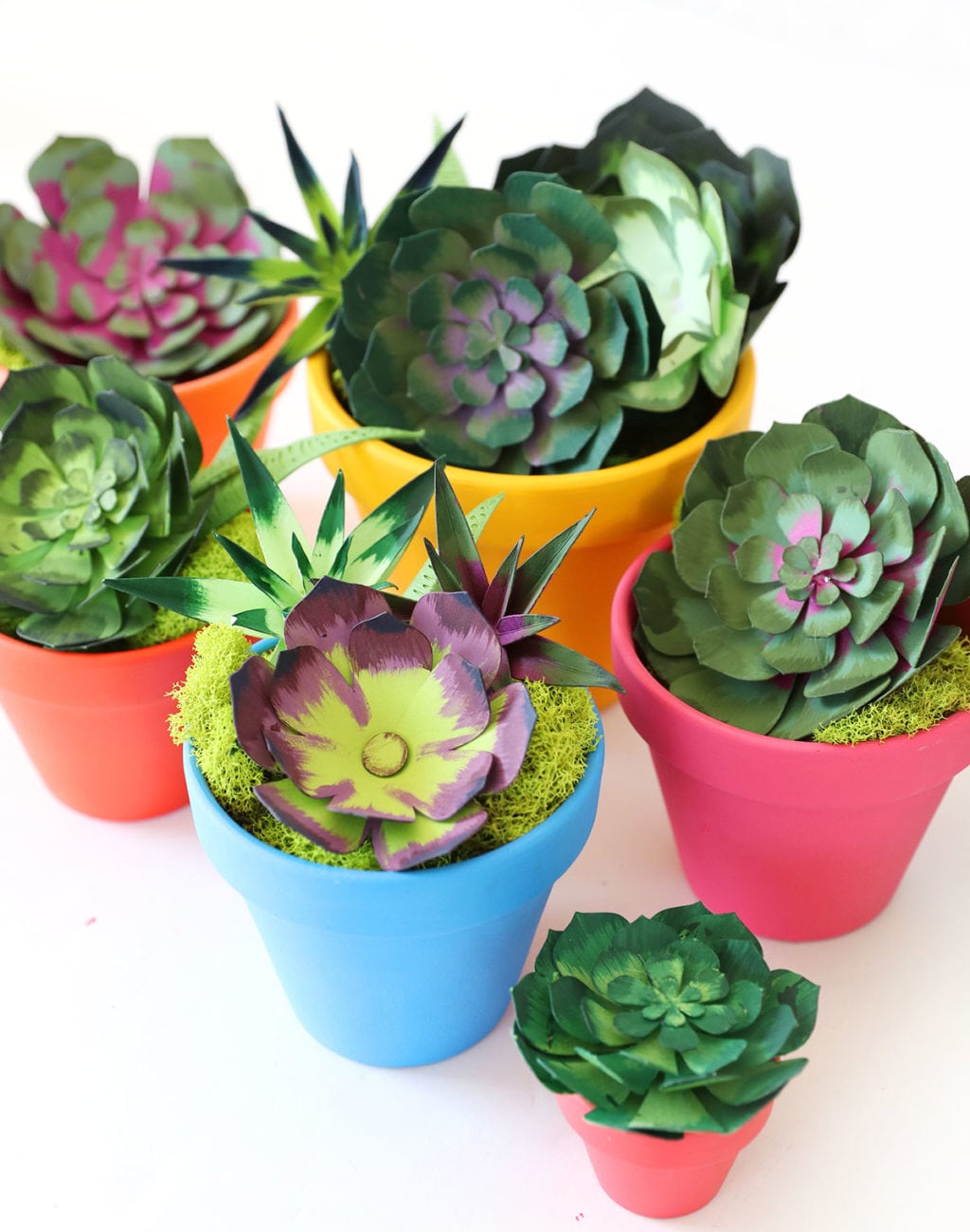 Download How To Make Realistic Paper Succulents With Cricut Damask Love