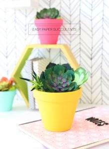 How to Make Realistic Paper Succulents with Cricut | damask love