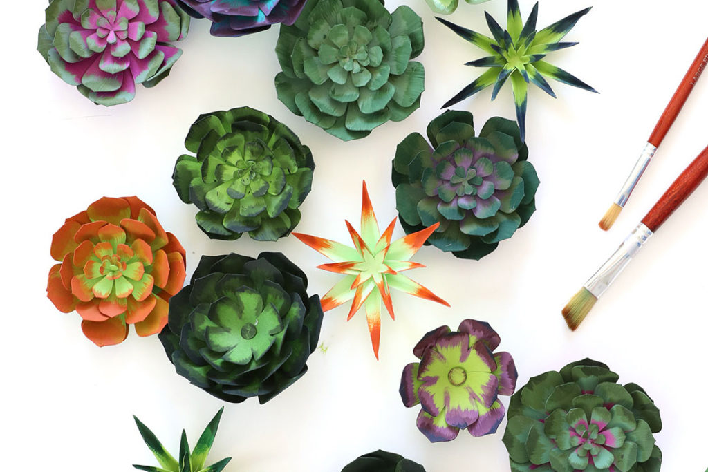 Download How To Make Realistic Paper Succulents With Cricut Damask Love