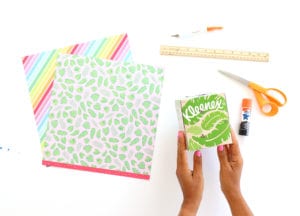 Upcycled Kleenex Box DIYs for Earth Day | damask love
